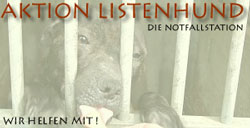 Notfallstation Staff